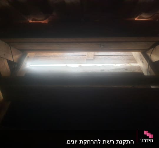 אור חודר דרך פתח בגג עץ עליון